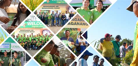 jackpot rice variety maturity philippines|17TH NRTF PUTS SPOTLIGHT ON JACKPOT 102 AND LAV777.